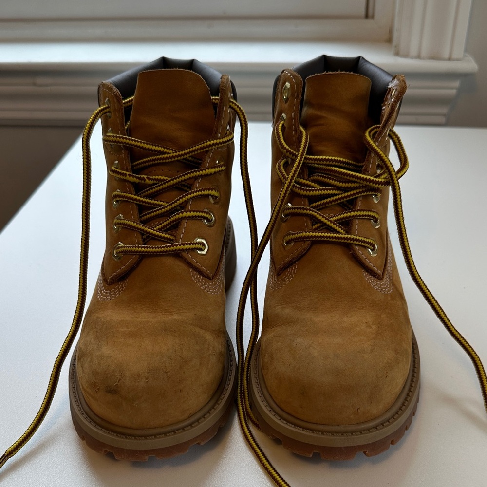 Kids/Junior Timberland® Premium 6-Inch Waterproof Boot